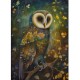 DUTCH LADY DESIGNS GREETING CARD Holy Forest Owl